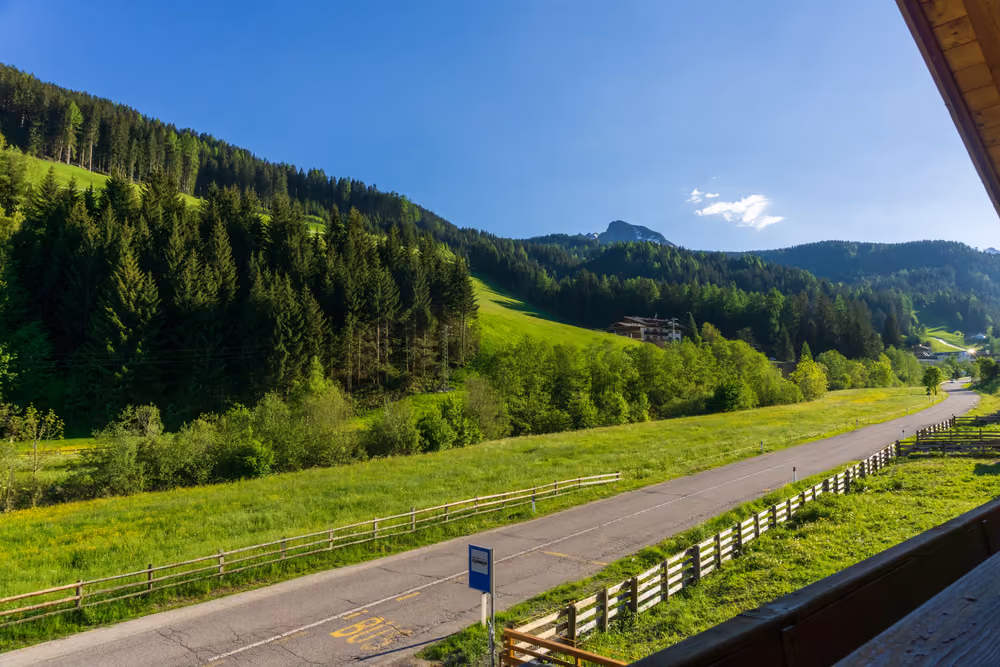 Blick vom Balkon über die Wiesen zum Bergkamm
